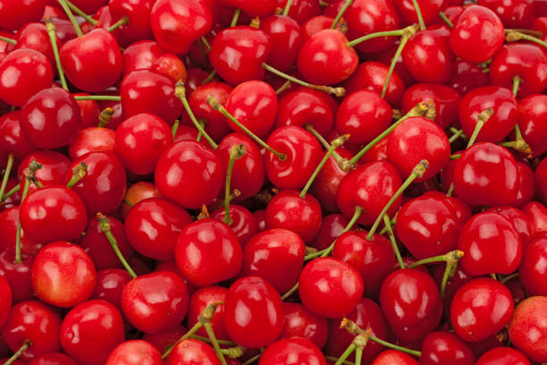 istock Background of ripe cherries. 1162720279