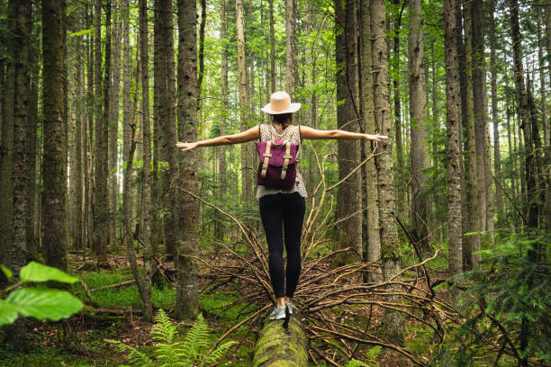 donna con cappello e zaino che si equilibra sull'albero rotto nell'antica foresta pluviale di pini. - balance foto e immagini stock
