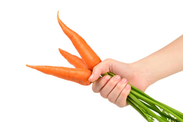 istock Fresh orange carrot in woman hands on a white background. 1162724449