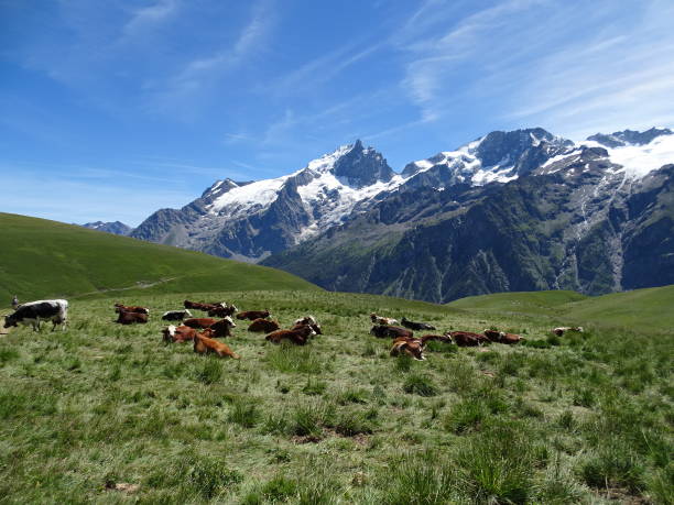 istock La Meije vom Plateau d'Emparis 1162725852