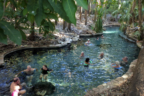 persone che nuotano nelle piscine calde di mataranka nel northern territory australia - catherine park foto e immagini stock