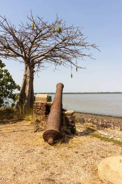 istock Old canon on James Island 1162730944