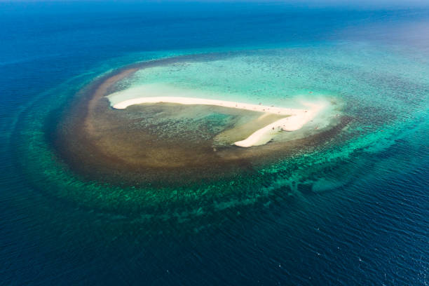 istock White sandy island with coral reefs.White sandbar 1162732631