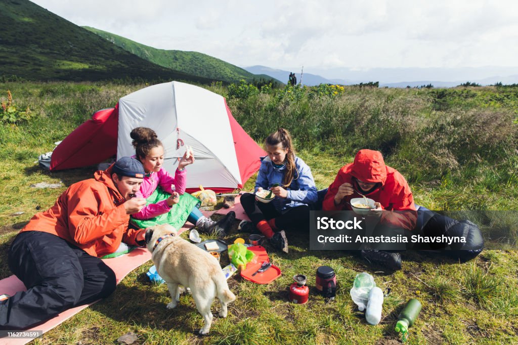 Friends and dog having breakfast near the tent in the mountains Happy friends - women and men and their small fluffy cute pug sitting on the sleeping pads covered by sleeping bag near the rend tent and preparing breakfast on the camping stove before their trip in the Carpathian Mountains, Ukraine Adventure Stock Photo