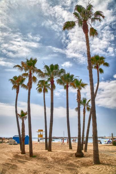 On the Costa del Sol of Malaga