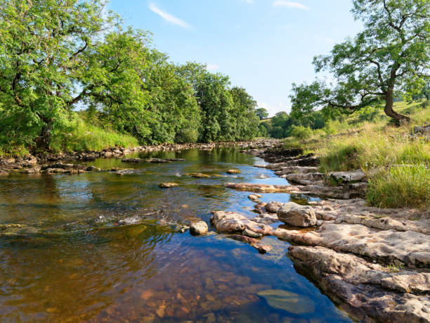 rio ribble delicadamente de fluxo perto de stainforth em uma tarde do verão - ribble - fotografias e filmes do acervo