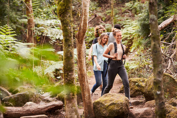 istock Four millennial friends hiking single file on a forest trail, full length 1162741896