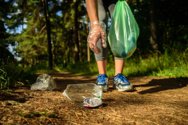 istock Woman collecting garbage in forest 1162741935
