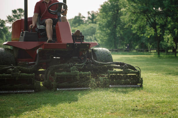 istock Low Section Of Man Mowing Grassy Land 1162743034
