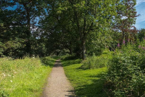 istock Scottish Summer Parks with Trees and Footpaths in Shadow 1162743103