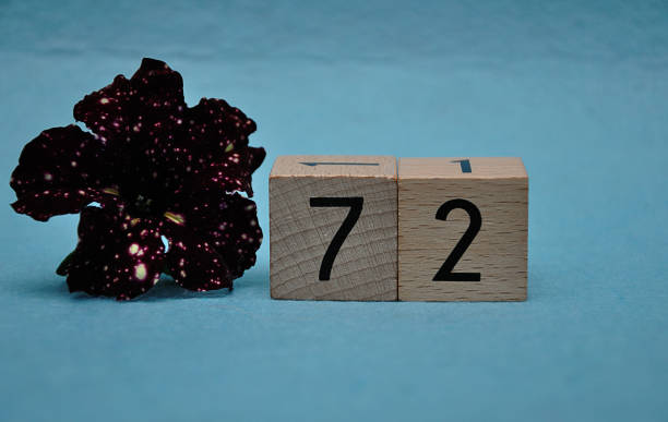 istock Number seventy two with a purple petunia on a blue background 1162745775