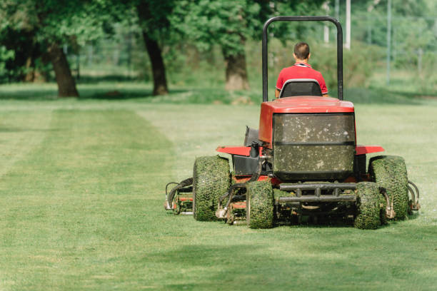 istock Rear View Of Man Mowing Grassy Land 1162746262