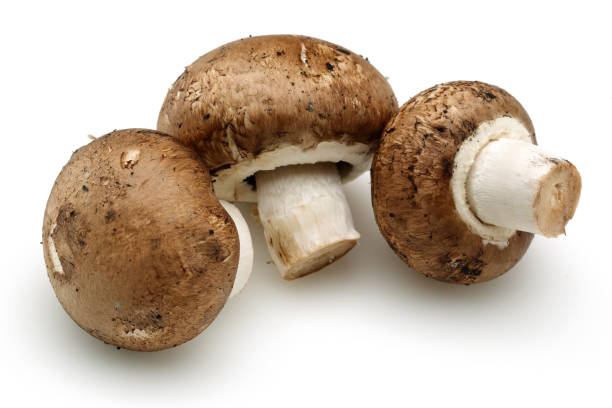 istock Chestnut mushrooms isolated on white 1162750482