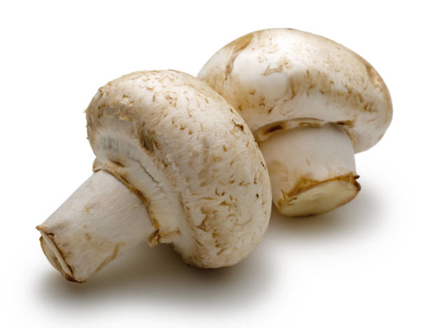 istock White mushrooms isolated on white 1162750484