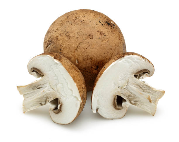 istock Chestnut mushrooms isolated on white 1162750576