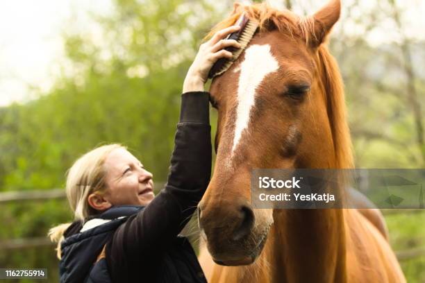 Confident And Satisfied Young Woman Cleaning Dust From Horses Hair Stock Photo - Download Image Now