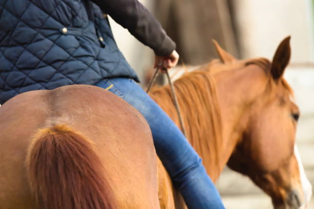 istock Young Woman Riding Horse without using Saddle 1162756103
