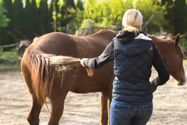 istock Young Woman Affecting on Horse´s Behavior by Holding Horse´s Tail and using her Body Language 1162756335