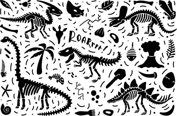 恐竜の骨格と化石のコレクション - animal bone illustrations点のイラスト素材／クリップアート素材／マンガ素材／アイコン素材