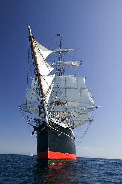 istock Sailing ship at sea under full sail 116275844