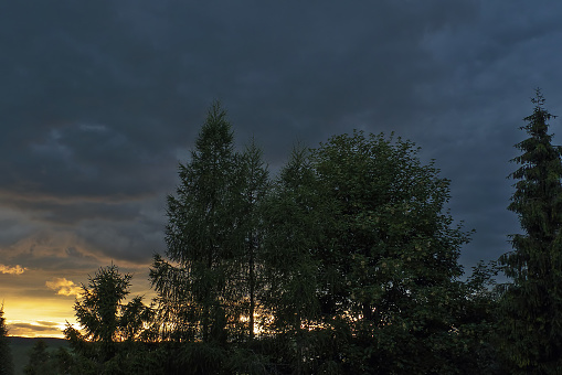 Sunset with stormy clouds in forest