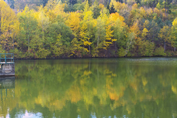 istock Autumn Forest with Water Reservoir 1162758844
