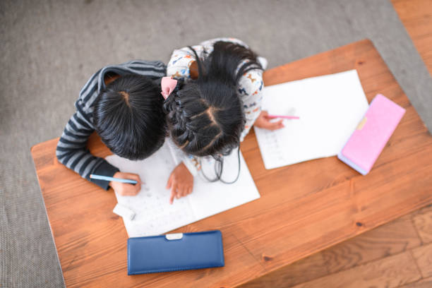 Young Japanese Sister Working with Brother on Homework