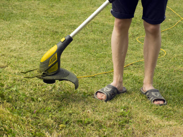 istock Trimmer for cutting the lawn. Grass shearing equipment. Garden technology. 1162761851