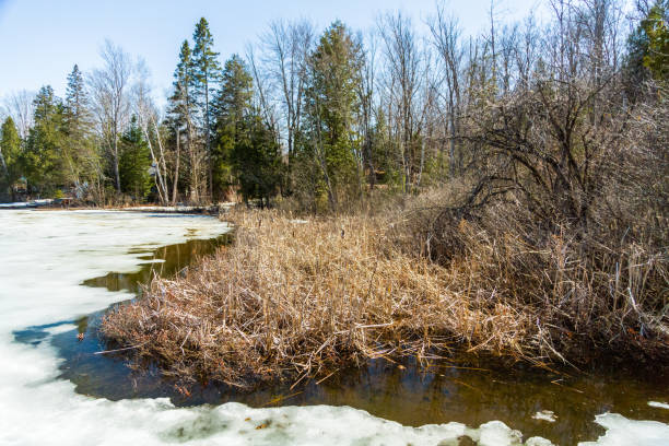 Ice Melting on Lake in Quebec
