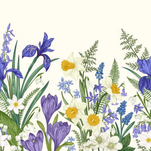 illustrations, cliparts, dessins animés et icônes de bordure sans couture avec des fleurs. - daffodil spring flower blue