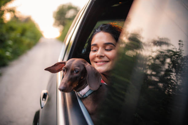 istock Woman and dachshund riding in a car 1162765695