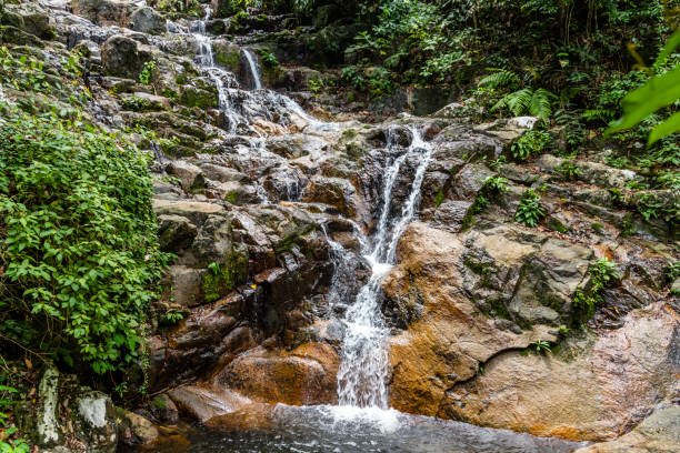 piccola cascata scorre verso il basso - stream river water spring foto e immagini stock