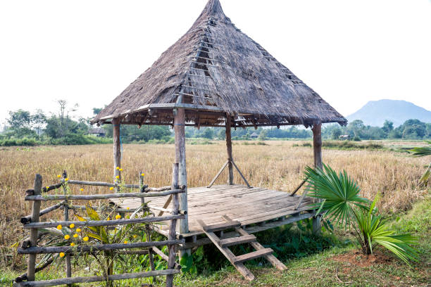 пикник жилья - laos hut southeast asia shack стоковые фото и изображения