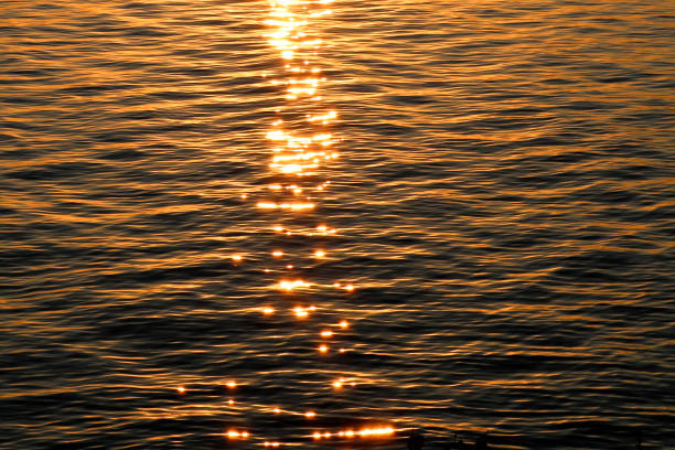 istock Texture of ripples on the water with bright sun highlights during sunset. 1162770487