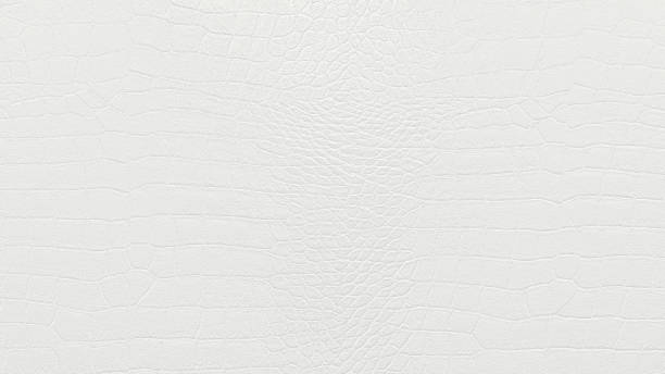 Plastering brick wall painted by paper white color can be use as wall paper or texture background of white color for also new year card or winter season. White color texture pattern abstract background can be use as wall paper screen saver cover page or for winter season card background or Christmas festival card background and have copy space for text. n11 stock pictures, royalty-free photos & images