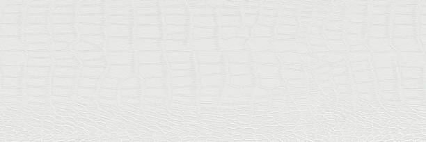 istock Plastering brick wall painted by paper white color can be use as wall paper or texture background of white color for also new year card or winter season. 1162773107