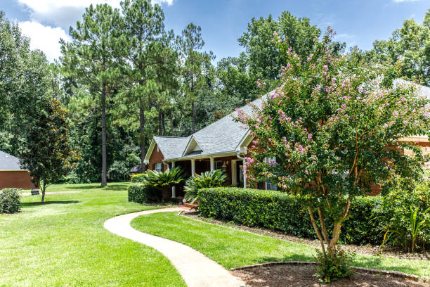 istock Front view of red brick house in the suburbs 1162775793