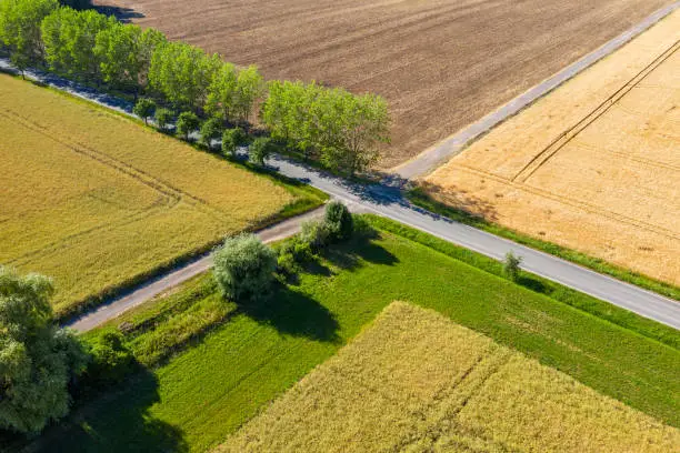 Photo of Crossing between cereal fields from above, Germany