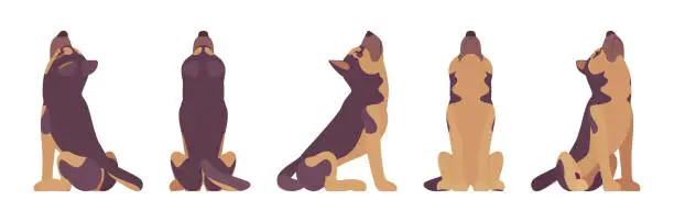 Vector illustration of Shepherd dog howling