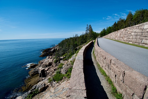 Otter cliff Maine New England ocean national park water edge granite pine tree
