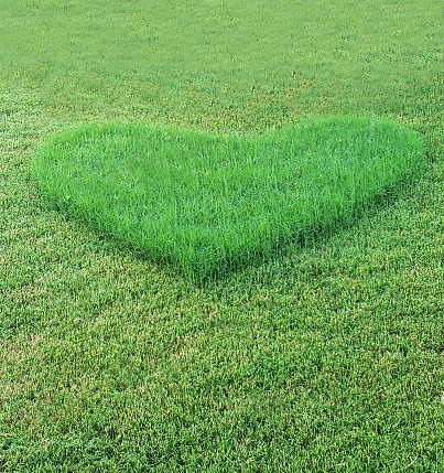 Heart Shaped Grass Background, Landscaping, Lawn Mowing, Cutting