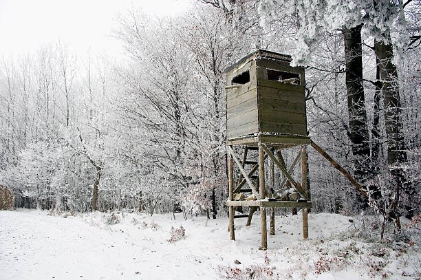 istock Hunting Tower in Winter Landscape 116278733