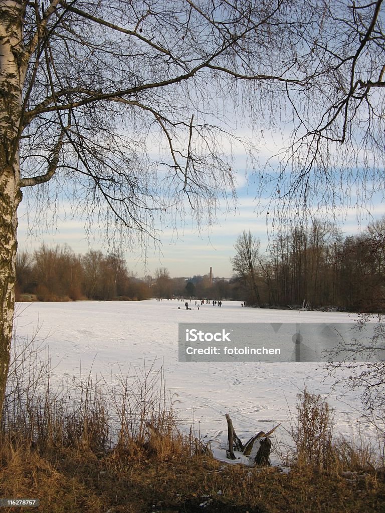 Eislaufen auf dem sehen - Lizenzfrei Baum Stock-Foto