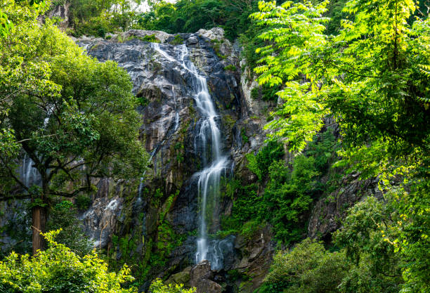 istock Beautiful waterfall in the green forest. 1162787678