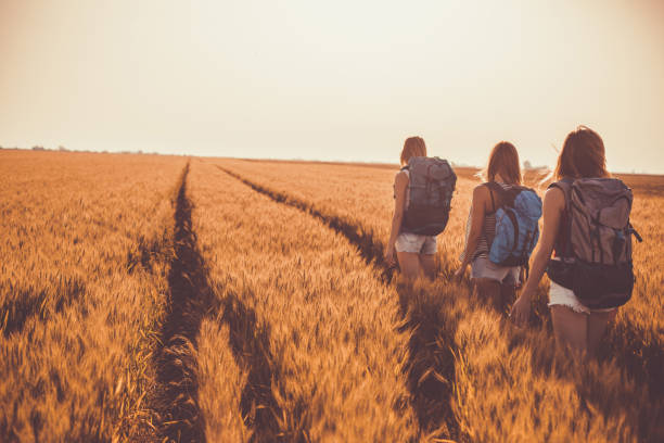 Copy space shot of three girlfriends going camping with backpacks on their back. They are enjoying summer sunshine as they are walking through golden fields of barley together.