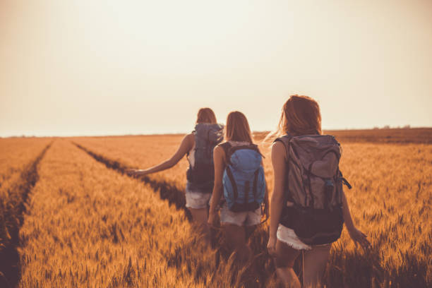 istock Girlfriends going on a camping adventure through golden fields of barley 1162789625