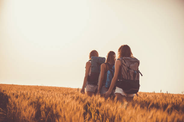 istock Three girlfriends walking through golden fields of barley 1162789654