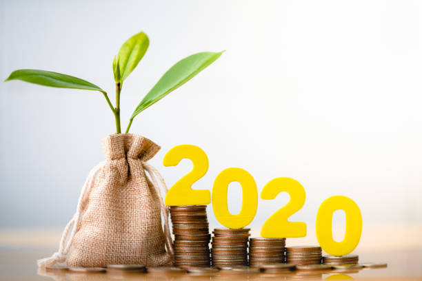 istock 2020 and Coins in sack with small plant tree. 1162789691