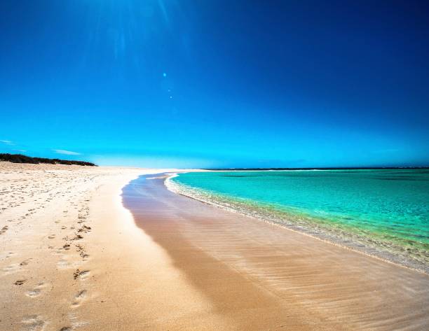 Tuquoise Bay Coastline of “Turquoise Bay”, the most popular beach and snorkeling destination among tourists and locals in Exmouth, WA Australia  (Cape Range National Park) ningaloo reef photos stock pictures, royalty-free photos & images