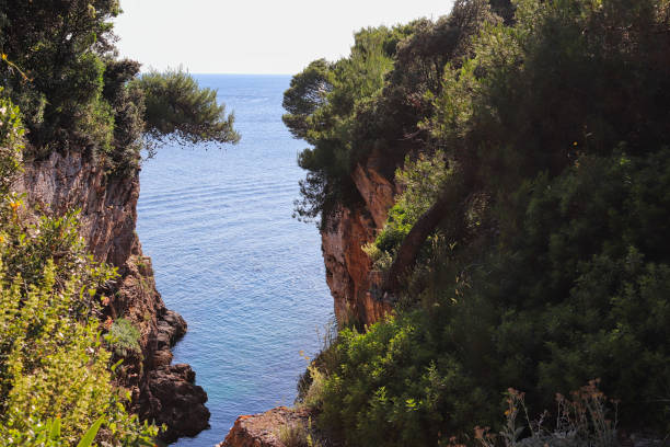 istock a cliff with swimmers in the sea in summer 1162790474